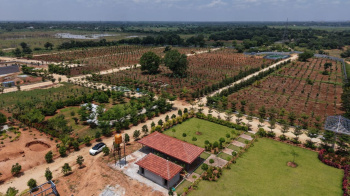 Agricultural/Farm Land for Sale in Gudibanda, ChikBallapur (6000 Sq.ft.)