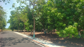 Farm Land 10000sqft With Guest House Near Mahindra City