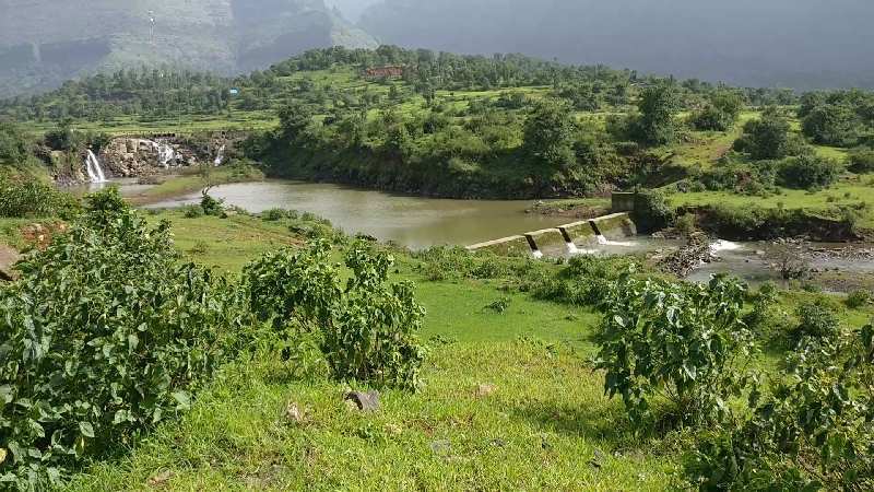 65 Acre Agricultural/Farm Land for Sale in Igatpuri, Nashik