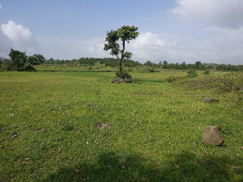 10 Acre Agricultural/Farm Land for Sale in Igatpuri, Nashik