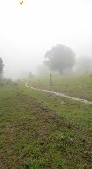 5 Acre Agricultural/Farm Land for Sale in Igatpuri, Nashik