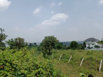 Available for Sale 15,100 sq.ft. Farmland at an Excellent Location of Kushalpura, Bhopal