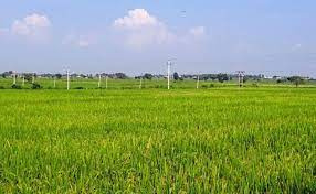 5.70 acre land for sale @ Mugaliyachaap, Near Ratibad