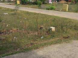Farmland at an excellent location @ reasonable price