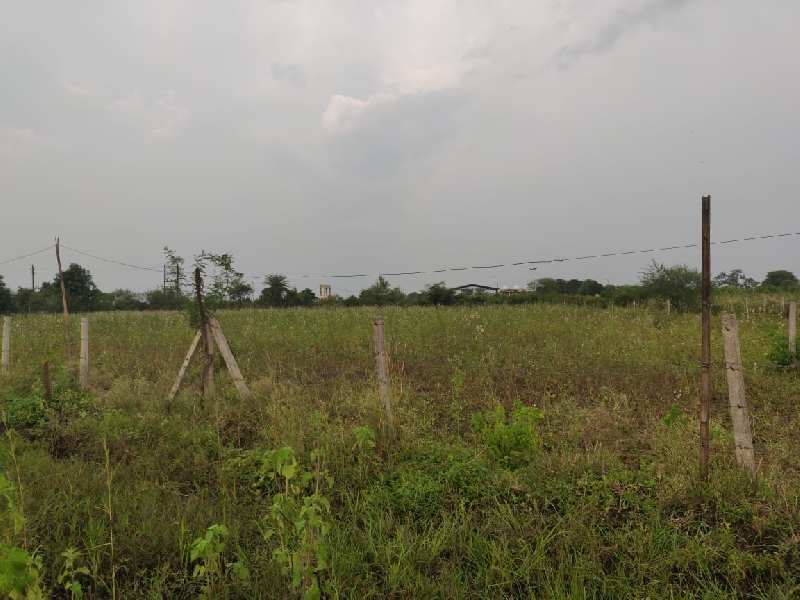 7000 sq.ft farmland available for sale at a reasonable price