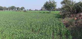 AGRICULTURAL LAND FOR SALE AT RAISEN ROAD