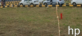 Residential Plot for Sale in Thirumangalam, Madurai (6.48 Ares)