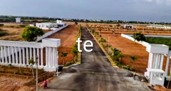 Residential Plot for Sale in KTC Nagar, Tirunelveli (30 Acre)