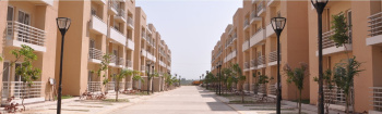2 BHK Flats & Apartments For Sale In Sector 76, Faridabad (1045 Sq.ft.)
