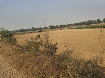 Residential Plot for Sale in Sector 97, Faridabad (128 Sq. Yards)