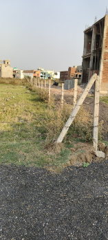 Residential Plot for Sale in Pendri, Janjgir-Champa (1308 Sq.ft.)