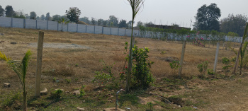 Property for sale in Kota Bilaspur