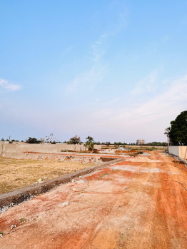 Property for sale in Khokhra, Janjgir-Champa