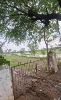 Agricultural/Farm Land for Sale in Nehru Nagar, Bilaspur (697600 Sq.ft.)