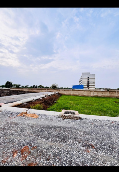 Residential Plot for Sale in Bodri, Bilaspur (1485 Sq.ft.)