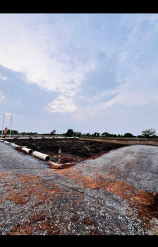 Residential Plot for Sale in Bodri, Bilaspur (1320 Sq.ft.)