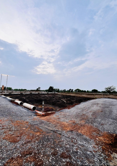 Residential Plot for Sale in Bodri, Bilaspur