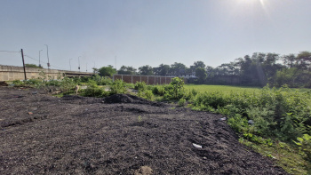 Commercial Lands /Inst. Land for Sale in Hasdeo Vihar Colony, Janjgir-Champa (13952 Sq.ft.)