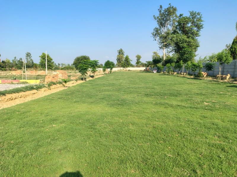 Residential Plot For Sale In Rahmatnagar, Lucknow (1000 Sq.ft.)