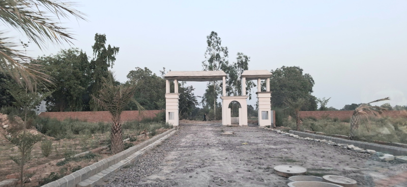 2500 Sq.ft. Residential Plot for Sale in Sultanpur Road, Lucknow