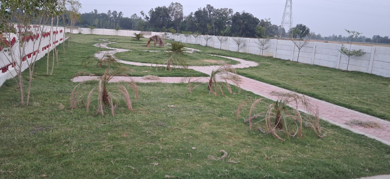 Residential Plot for Sale in Sultanpur Road, Lucknow