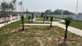 Residential Plot for Sale in Sultanpur Road, Lucknow (1500 Sq.ft.)