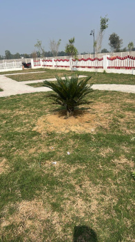 Property for sale in Gosainganj, Lucknow
