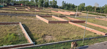 Residential Plot for Sale in New Jail Road, Lucknow (1300 Sq.ft.)