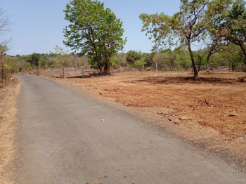 Agricultural/Farm Land for Sale in Mangaon, Raigad (177 Guntha)
