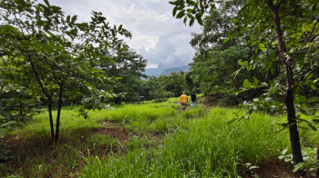 Agricultural/Farm Land for Sale in Mangaon, Raigad (7 Acre)