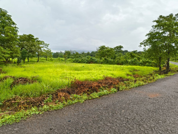 Agricultural/Farm Land for Sale in Mangaon, Raigad (12.5 Guntha)