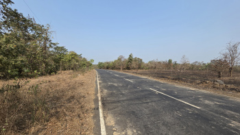 Agricultural/Farm Land for Sale in Mangaon, Raigad (136 Guntha)