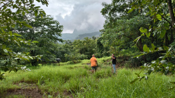 Agricultural/Farm Land for Sale in Mangaon, Raigad (2.5 Acre)