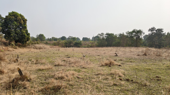Agricultural/Farm Land for Sale in Mangaon, Raigad (69 Guntha)