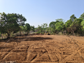 Agricultural/Farm Land for Sale in Mangaon, Raigad (19 Guntha)