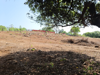 Agricultural/Farm Land for Sale in Mangaon, Raigad (32 Guntha)
