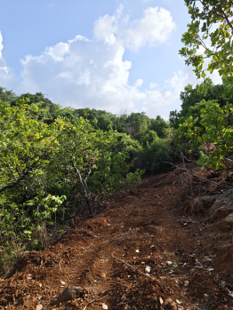 Property for sale in Tala, Raigad