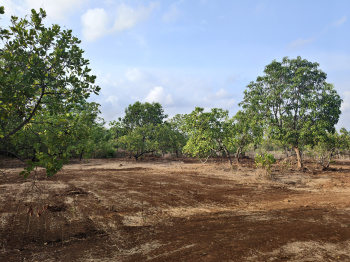 Agricultural/Farm Land for Sale in Tala, Raigad (7 Acre)