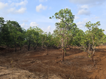 Property for sale in Tala, Raigad