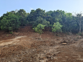 Property for sale in Tala, Raigad