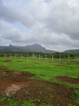 Agricultural/Farm Land for Sale in Mangaon, Raigad (1.5 Acre)
