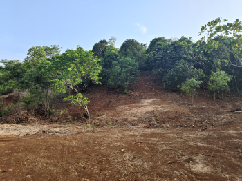 Property for sale in Mangaon, Raigad