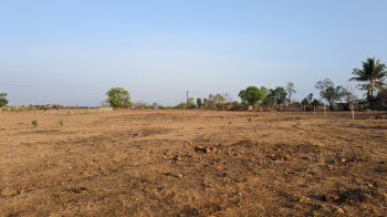 Agricultural/Farm Land for Sale in Roha, Raigad (57 Guntha)