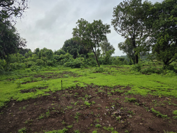 Agricultural/Farm Land for Sale in Mangaon, Raigad (9.5 Guntha)
