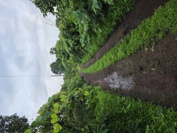 Property for sale in Mangaon, Raigad