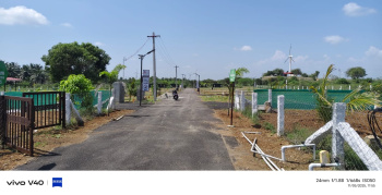 Farm Land Sale in Kinathukadavu