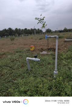 Property for sale in Kinathukadavu, Coimbatore