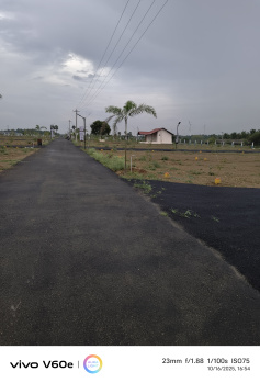 Low Budget Land for Sale Kinathukadavu