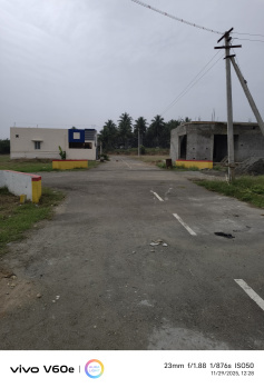 Land for Sale Kinathukadavu - Vadasithur