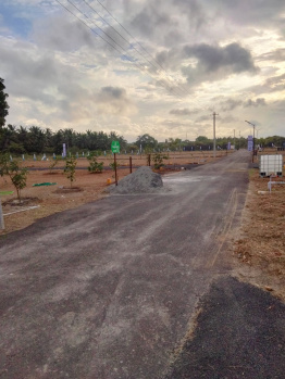 Low Price Plots for Sale Kinathukadavu